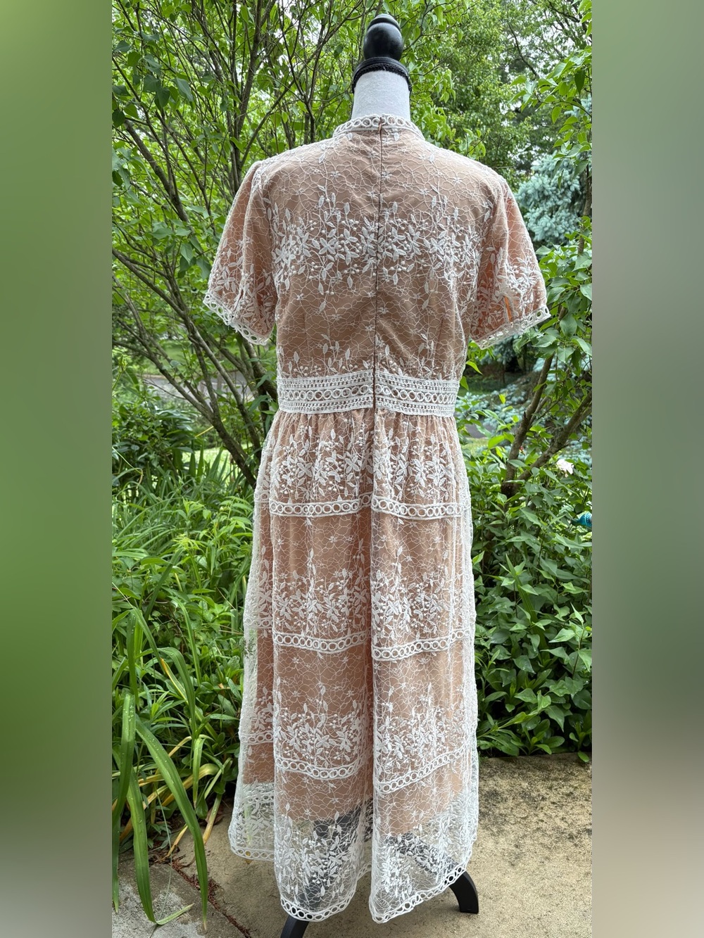 Delicate Beige Lace-Overlay Midi Dress - Picture 5 of 9